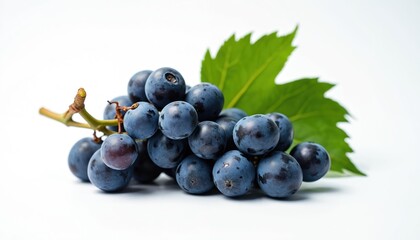 Fototapeta premium Dark blue grapes with a fresh green leaf on a clean white background. The ripe fruit cluster is perfect for food blogs, wine making, or healthy eating.