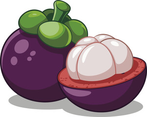 Cartoon mangosteen fruit illustration, tropical exotic food, purple rind, white flesh, healthy nutrition, juicy sweet snack, vector isolated design