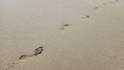 Bare footprints stretch along the sandy beach, a fleeting record of someone’s walk by the sea.
