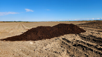 A heap of barn manure stands in the winter vegetable plot, ready to boost soil fertility before planting.