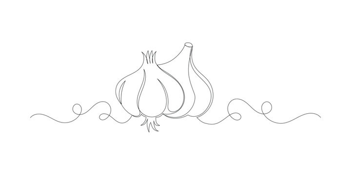 Two Garlic in continuous line art drawing style