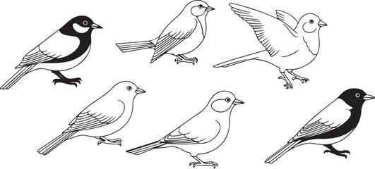 set of hand drawn birds