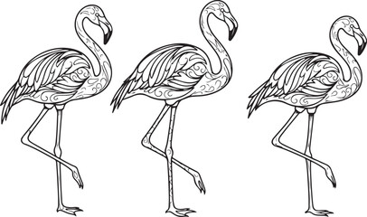 vector illustration of flamingo
