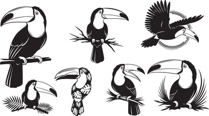 set of birds isolated