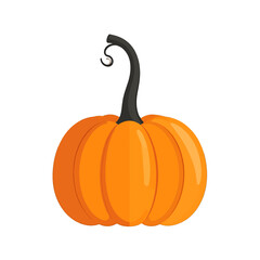 Bright Orange Pumpkin with a Curved Stem Against a Clean White Background Symbolizing Autumn Harvest