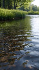 Fototapeta premium Close up view of a crystal river revealing smooth stones beneath and vibrant grasses lining the tranquil shore spring season wallpaper landscape nature background