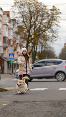 Obraz premium Young girl walking her adorable corgi dog across a city street