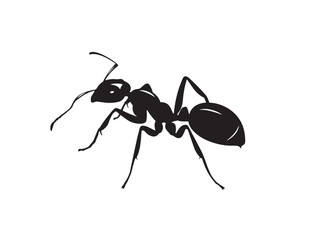 Ant icon vector illustration solid black white background insect symbol