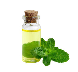 mint essential oil isolated on white background.
