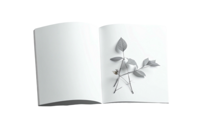 Open book displays botanical illustration on blank page