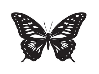 Butterfly icon vector illustration solid black white background beauty