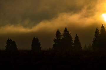 Forests in Krusne mountains in autumn evening near Horni Blatna