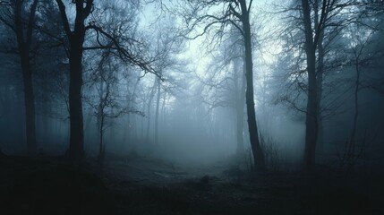 Obraz premium Mysterious fog-covered forest at dusk creates an eerie atmosphere among tall, barren trees and shadows lurking in the background