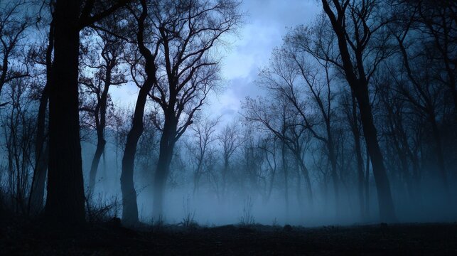 Mysterious fog envelops a dark forest at dusk, revealing silhouettes of bare trees and an eerie atmosphere
