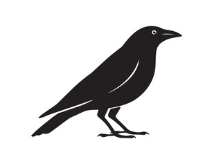 Crow icon vector illustration solid black white background bird graphic