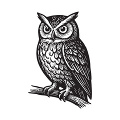 Obraz premium Detailed Illustration of a Wise Owl Perched on a Branch, Showcasing Intricate Feather Detail and a Focused Gaze, Ideal for Artistic Projects and Educational Designs