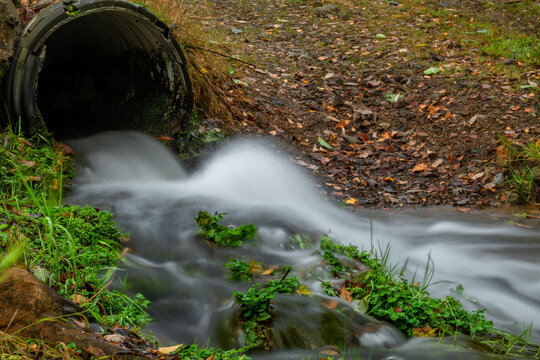 Bystrice small river in Krusne mountains in cloudy autumn morning