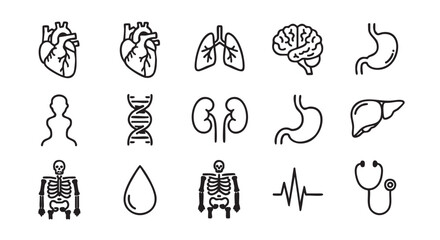 Set of medical anatomical icons of human biology and structure