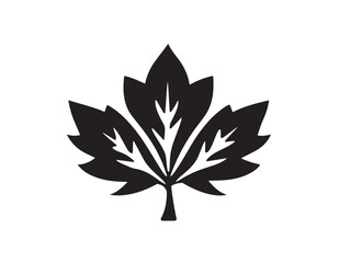 Maple leaf icon vector illustration solid black white background
