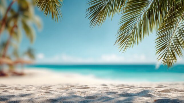 Tropical beach scene with palm trees and clear blue water during sunny daytime