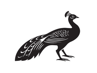 Peacock icon vector illustration solid black white background beautiful bird