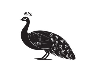Obraz premium Peacock icon vector illustration solid black white background elegant feathers