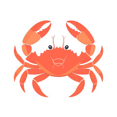 Isolated Orange Crab with Detailed Shell and Claws on a White Background