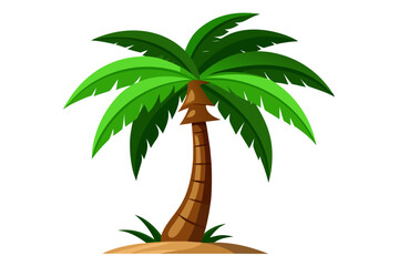 palm tree on white background
