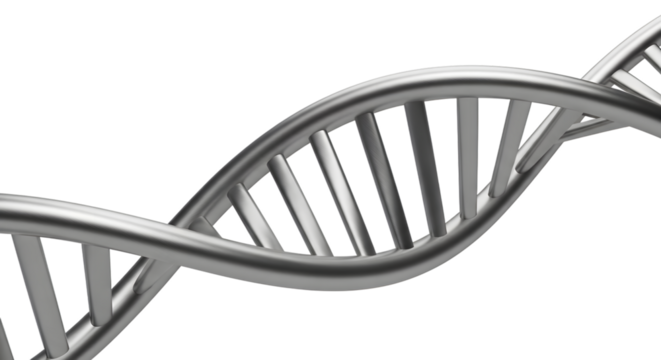 Close up of a metallic dna double helix structure against a stark black background