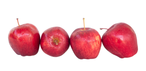 bunch of fresh red apples isolated. fresh fruits full of nutrients for health