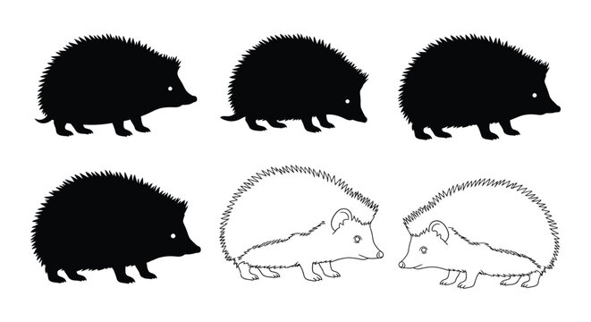 Set of hedgehog silhouettes in different styles isolated on, ideal for wildlife or animal themes