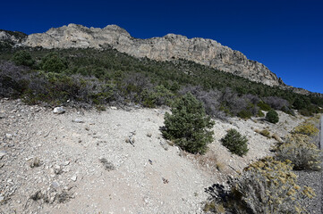 Rocky Desert Landscape at Mount Charleston in Nevada.