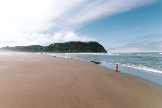 Puppy at Seaside, OR beach empty on foggy summer morning