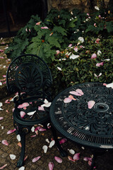 Fallen magnolia petals on wrought iron café table, Porto, Portugal