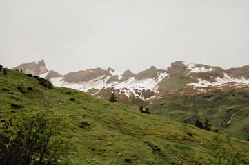Late Spring The Bavarian Alps