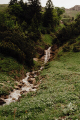 Alpine Stream And Waterfall Allg