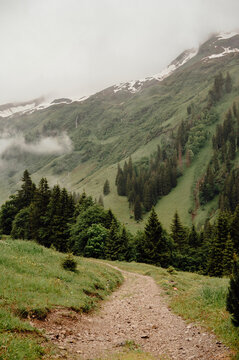 Mountain Trail Leading into Green Valley in the Allg&auml;u Alps