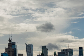 Fototapeta premium Palace of Culture and Science in Warsaw