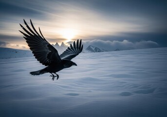 Naklejka premium Raven flying over snowy field with distant mountain