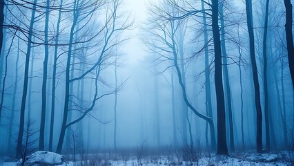 A serene forest stream with clear water and dappled sunlight filtering through lush green foliage, capturing nature's peaceful beauty.