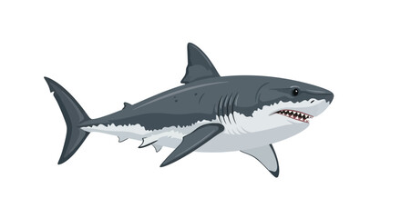 Obraz premium Shark Illustration Powerful Ocean Predator with Sharp Teeth