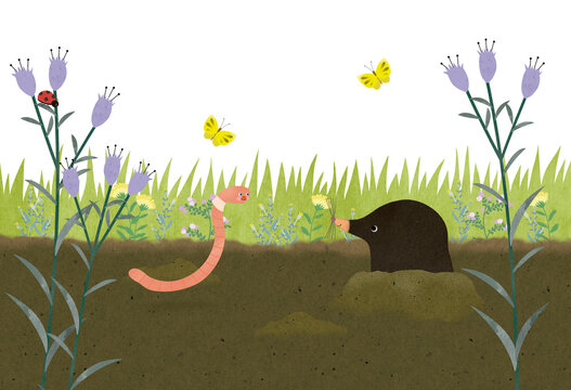 モグラとミミズ