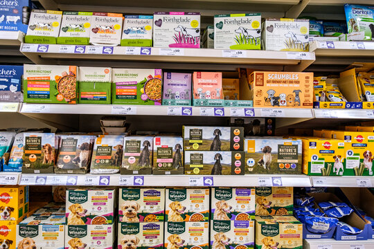 Selection Of Supermarket Stocked Domestic Dog And Puppy Food
