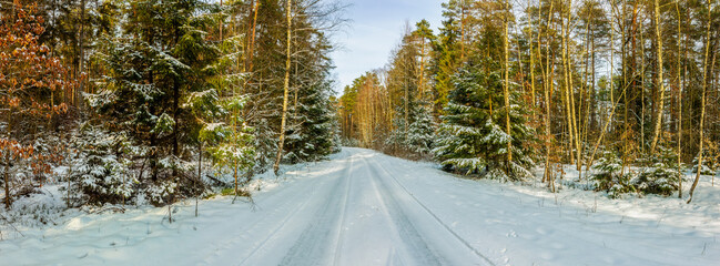  Zima w lesie na Mazurach. © Janusz Lipiński