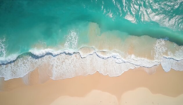 Aerial perspective of clean sand beach meeting clear turquoise ocean waves. Gentle surf washes ashore on quiet tropical coastline. Ideal for travel ads promoting summer getaways.