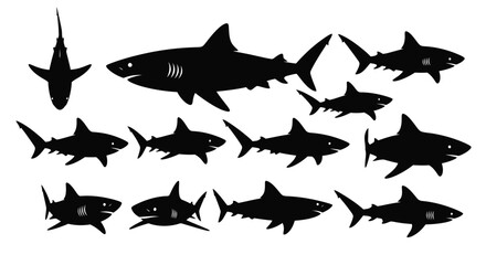 Shark silhouette collection for ocean conservation designs or shark week
