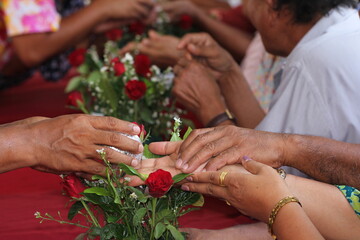 Close - up of hands of Thai pour water on elders' hands for blessings, Songkran Festival