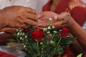 Close - up of hands of Thai pour water on elders' hands for blessings, Songkran Festival