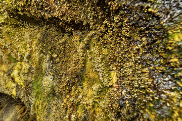 岩手 滝観洞（ろうかんどう）の坑内