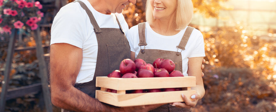 A happy couple stands outside in a fall setting, smiling at each other. They hold a wooden basket filled with fresh red apples. Warm sunlight filters through the trees around them.